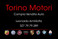 Logo Torino Motori di Leonardo Armillotta